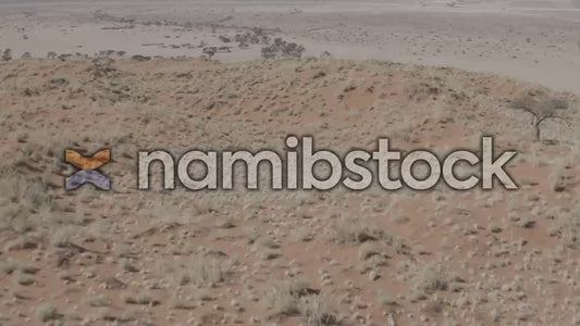 Namibstock_clip1234718