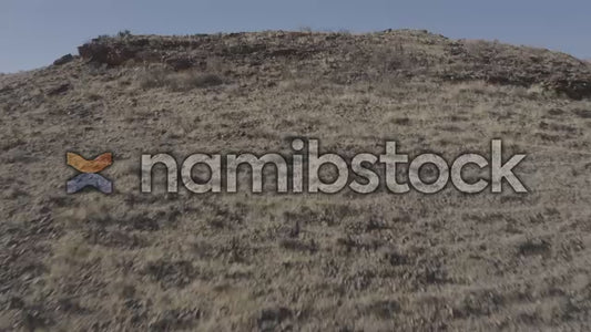 Namibstock_clip1234720