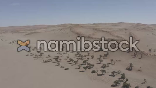 Namibstock_clip1234717